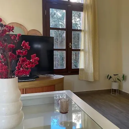 Apartment αrchontiko Theofilou